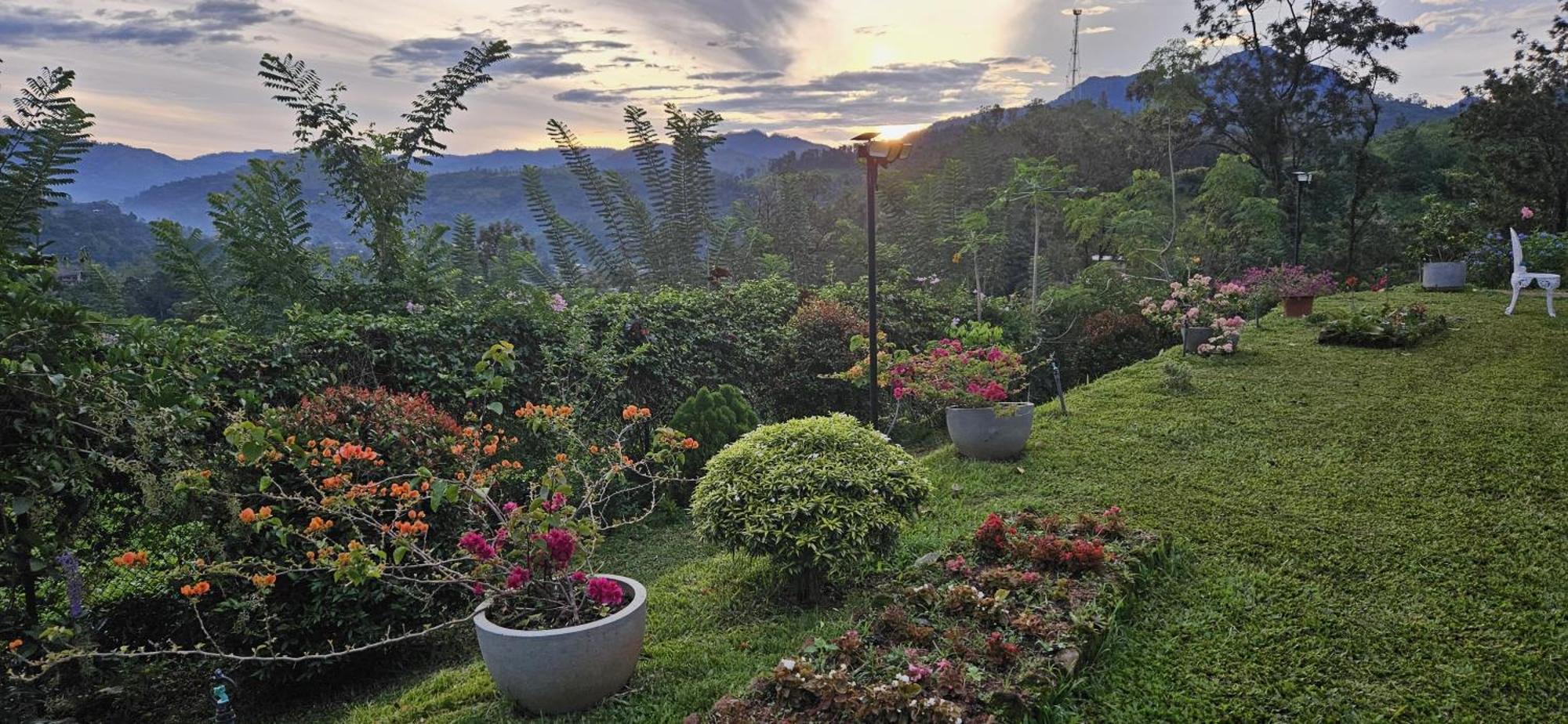 Sithara Estate Bungalow Элла Экстерьер фото