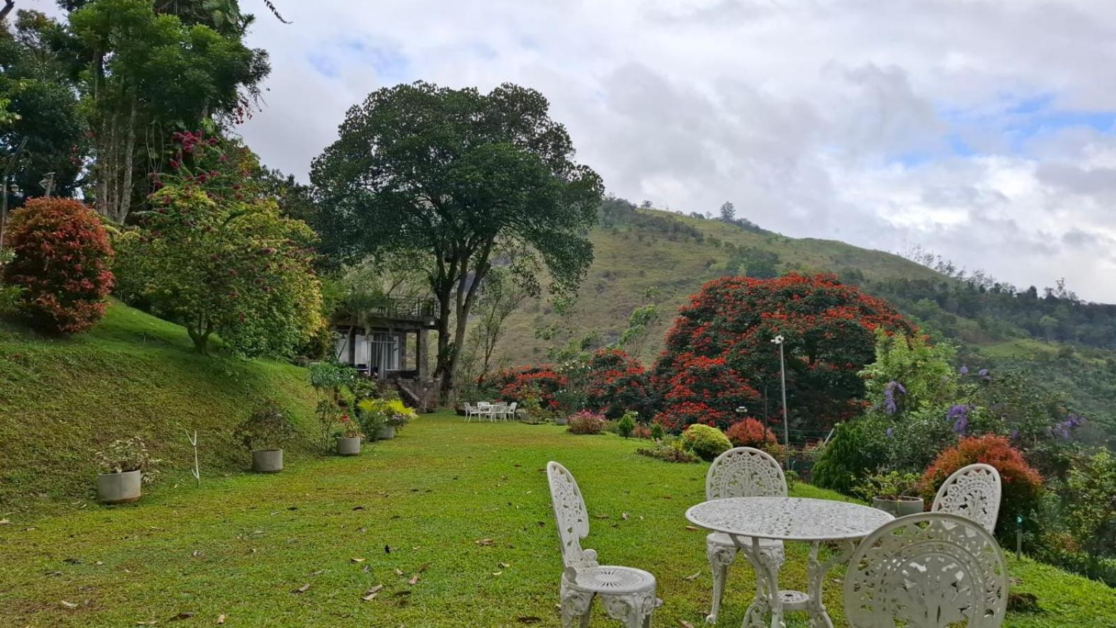 Sithara Estate Bungalow Элла Экстерьер фото