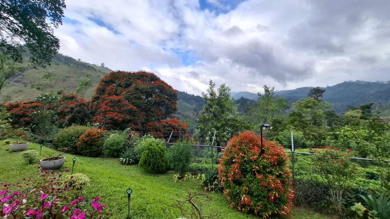 Sithara Estate Bungalow Элла Экстерьер фото
